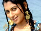 Malavika out of 'Karthigai'