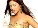 Malayalam Industry beckons Sadha