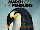 'March Of The Penguins' - A huge grosser worldwide