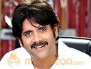 Nagarjuna's 'Don' to go to sets in January