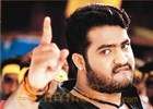 NTR  Boyapati Dammu Movie updates 