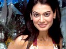 Payal Rohatgi signs management deal