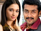 Tamanna pairs with Suriya