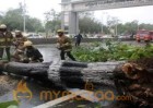 Cyclone Vardah Hits Chennai Photos