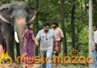  Kumki 2 and Hindi Kumki planned by Prabhu Solomon after Thodari