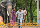 Kumki 2 and Hindi Kumki planned by Prabhu Solomon