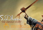 MS Dhoni The Untold Story grosses over 200 crores