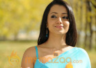 Trisha signs a new project with a Promising Hero