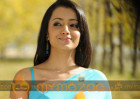 Trisha's confirmation about NH10 remake and film with Vijay Sethuapathi