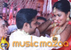 Vijay and Amalapaul Heading to Divorce ?