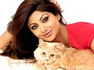 Telugu makers to cash in on Shilpa Shetty