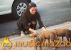 Amy Jackson feeds Street Dogs!