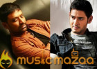 AR Murugadoss zeroes in on SJ Surya