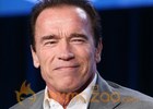 Arnold's remuneration for 'Robo 2' is shocking