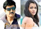 Bala Krishna and Trisha film to begin in Araku