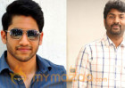 Chaitanya's movie shoot date final