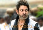 Jagapathi Babu again in Boyapati film