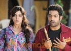 NTR, Samantha song shoot in Annapurna 7 acres