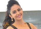 Rakul Preet Singh in Telugu remake of 'Thani Oruvan'