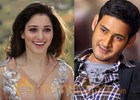 Tamanna Confirmed for Mahesh Babu Aagadu