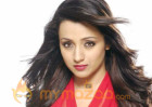 Trisha to reprise Anushka's role?