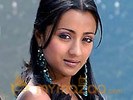 Trisha optimistic about Sainikudu