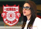 Stay upheld on cricket board’s notice to Kings XI Punjab 