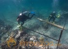 Vasco da Gama's Lost Ship Esmeralda Opens New Window on Age of Discovery