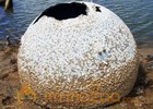 Piece of destroyed Space Shuttle Columbia found in lake 