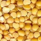 Gram Dal