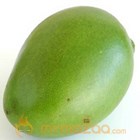 Raw Mango
