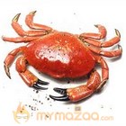 Crab