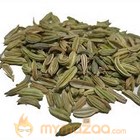 Fennel