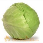 Cabbage