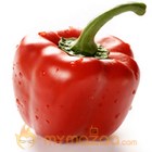 Red Pepper