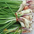 Scallions