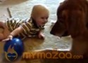 Funny dog and child