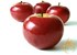 Antioxidant in apple extends lifespan 