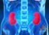 Poor kidney function gives early warning of heart disease 