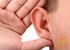 Researchers identify potential contributor to age-related hearing loss