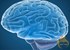 Scientists might have just revolutionized brain medicine