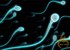 Utah sperm swap 'unacceptable' but still unexplained, docs say