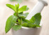 11 Unheard Ways Mint Leaves Help In Boosting Your Beauty And Health