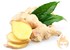 Can ginger help treat asthma symptoms?