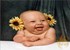 Sun Flower Baby