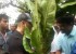 salman_khan_(8)