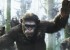 Dawn of the Planet of the Apes Movie Stills