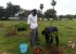 Rana Daggubati planted saplings at Nanakramguda as a part of Haritha Haram