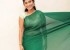 1460566334midhuna-saree-stills-pics-pictures-photos15