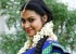 1428504132film-actress-varsha-pandey-latest-half-saree-stills6
